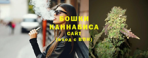соль ск Арсеньев