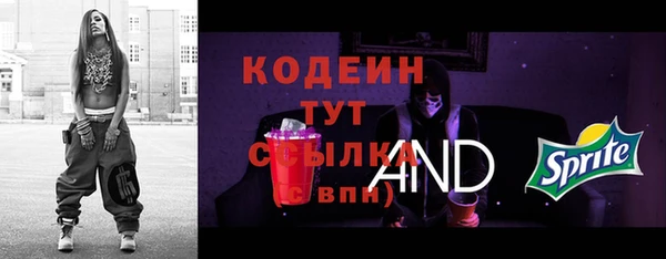 соль ск Арсеньев