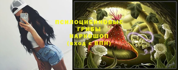 соль ск Арсеньев