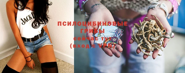 ALPHA-PVP Аркадак